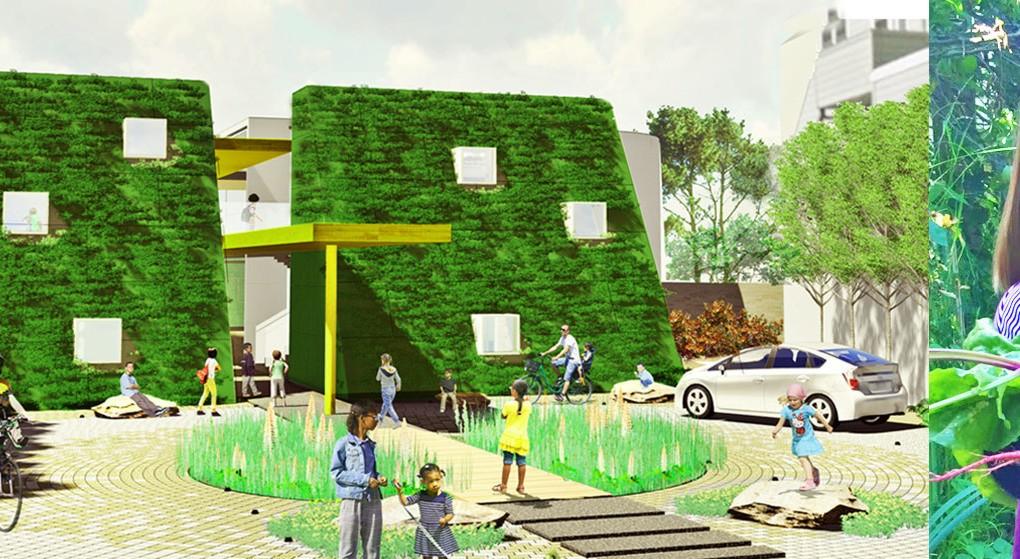 How to Define Your Garden Space with Style