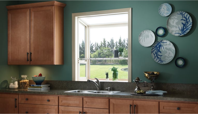 Customizable Options