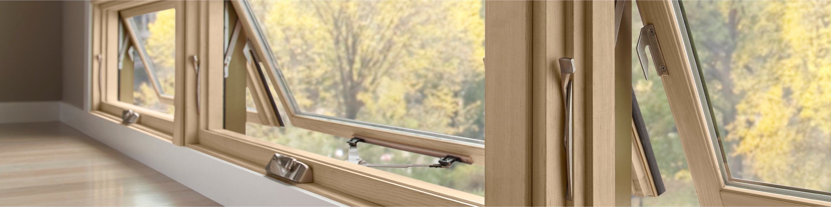 Full width image bar