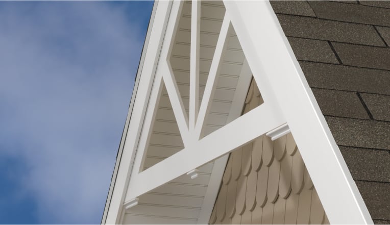 ENDLESS AESTHETIC OPTIONS