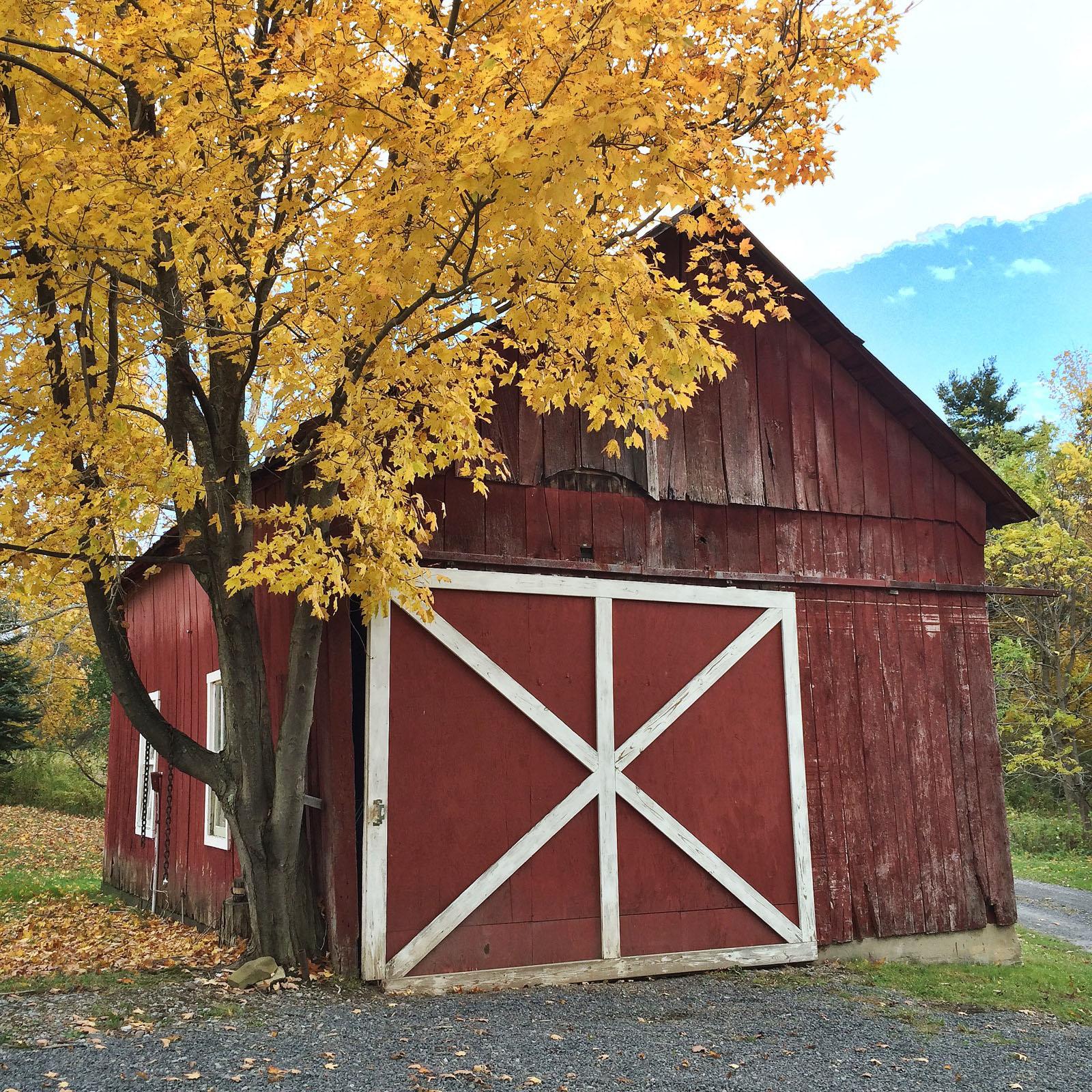 Inspired Exterior: Barns of America