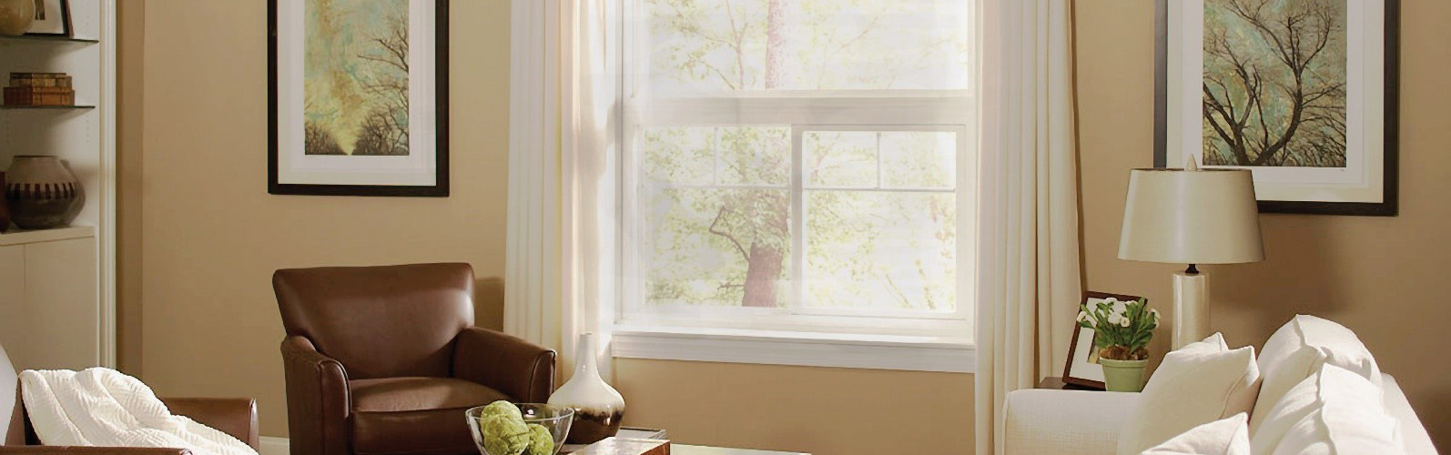 A Homeowners Guide to Going Green 7 Tips for Living an EcoFriendly Lifestyle